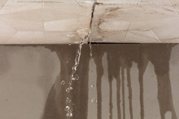 Professional Sewage Cleanup technician working in Weldona, CO